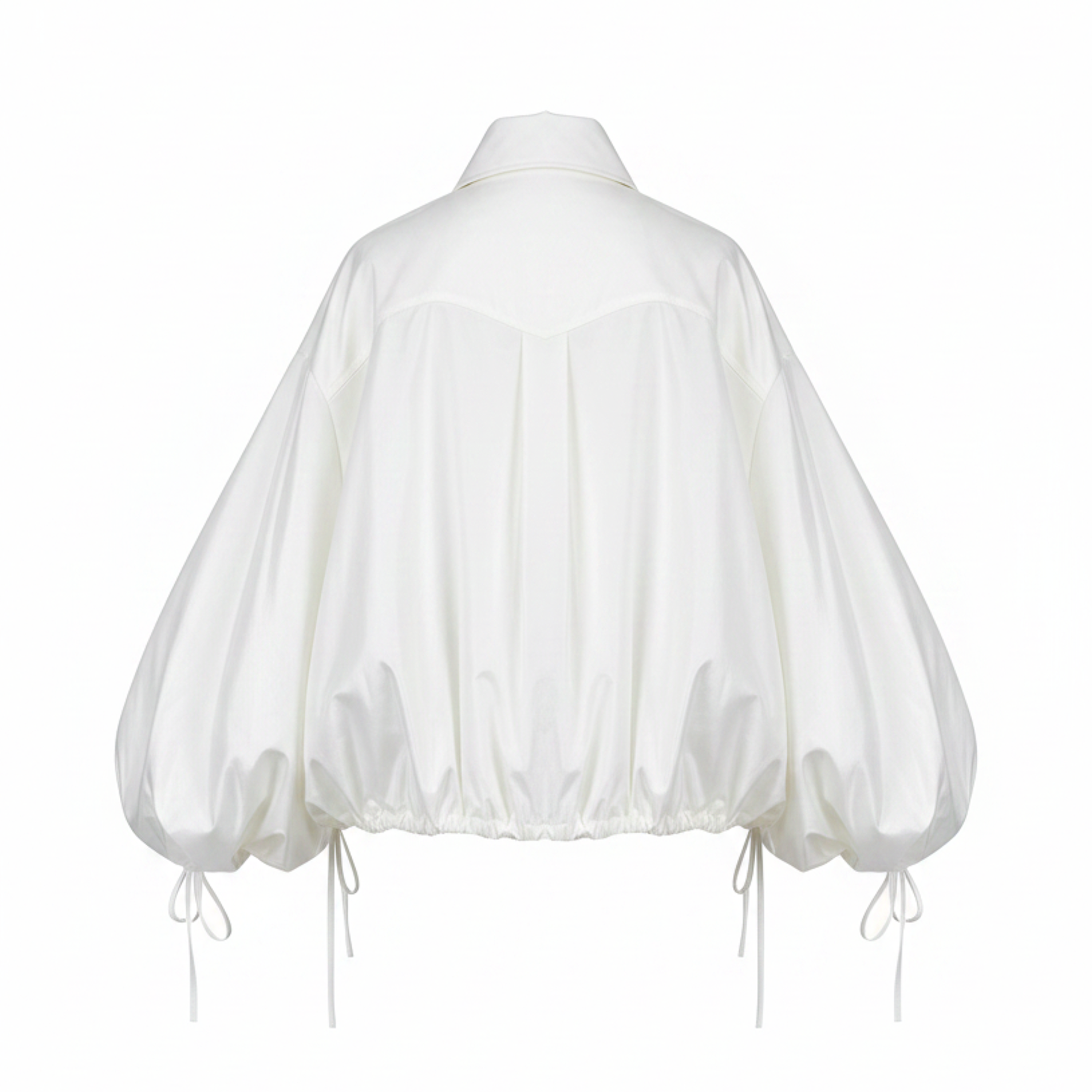 Lolo Balloon Sleeve Ruffle Crop Blouse